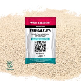 Fermento AEB FERMOALE AY4 - 11,5g